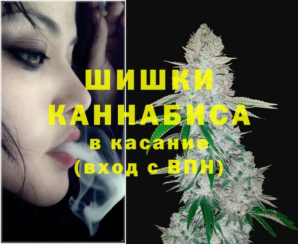 шишки Кодинск