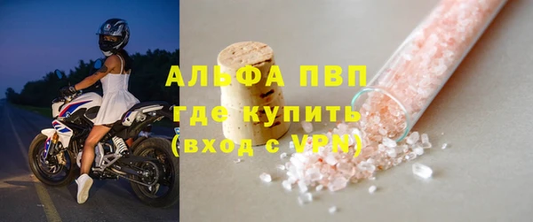 шишки Кодинск