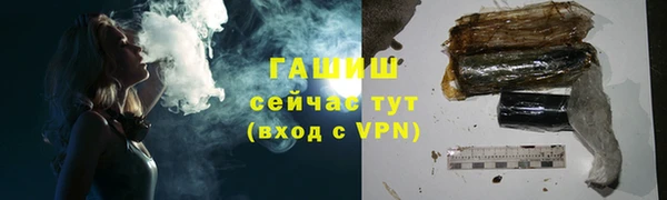 шишки Кодинск