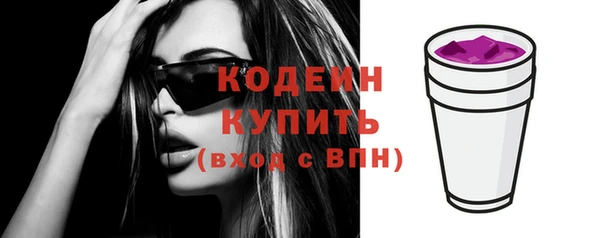 шишки Кодинск