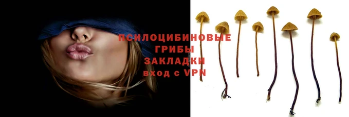 СК Козельск