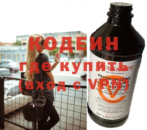 шишки Кодинск