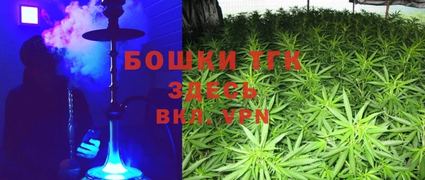 шишки Кодинск