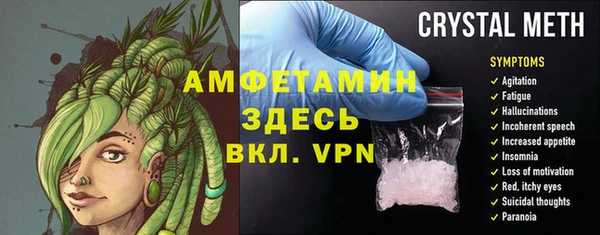 шишки Кодинск